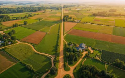 Regularização de Imóveis Urbanos e Rurais