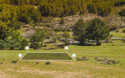 APP (Área de Preservação Permanente) e RL (Reserva legal)