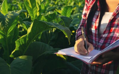 NOTIFICAÇÃO PREMONITÓRIA