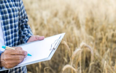 Segurança Jurídica em Operações Imobiliárias Urbanas e Rurais